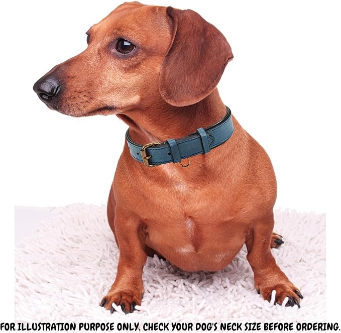 Real Leather Dog Collar Padded Soft Interiors with Premium Vintage Look Handcrafted Heavy Duty with Tag Ring for Small Medium and Large Pets (Medium (1.25" Wide for 13.5" - 17.5" Neck), Ocean Blue)