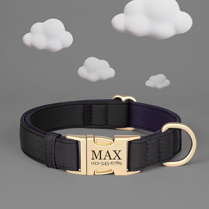PET ARTIST Colorful Personalized Dog Collars, Custom Dog Collar with Silent Engraved ID Tag, Lightweight Breathable Nylon & Soft Padded, Matching Leash & Poop Bag for Large Dogs,Black,L Fit 15-23"