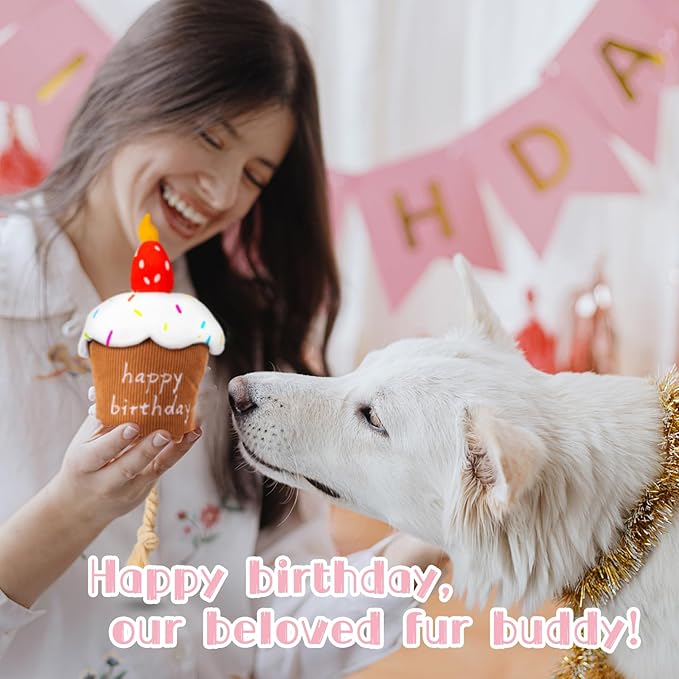 Dog Birthday Toys - Dog Birthday Cake Toy, Strawberry Plush Squeaky Cake Dog Toy, Gift for Puppy