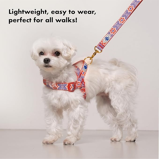 Signature Dog Leash – 63in Durable Double-Sided Jacquard Webbing, Ergonomic 0.8in Grip, Safety-Tested Hardware – Made in Korea (Basic, Scarlet Lotus)