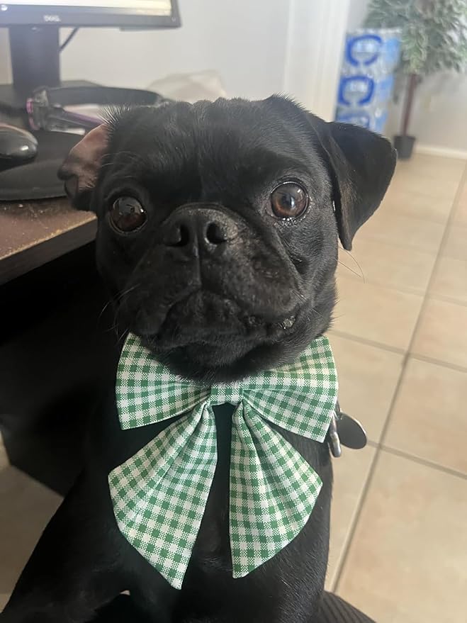 Lionet Paws Dog Collar with Sailor Bow, Durable Adjustable and Comfortable Green Bowtie Collar for Dogs and Cats, X-Small, Neck 8-12in