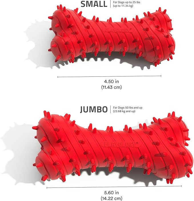 Playology Dog Toys | Puppy Toy Teething Bone Designed for Young & Active Dogs | Jumbo Beef Scented Toy Made from Non Toxic Materials
