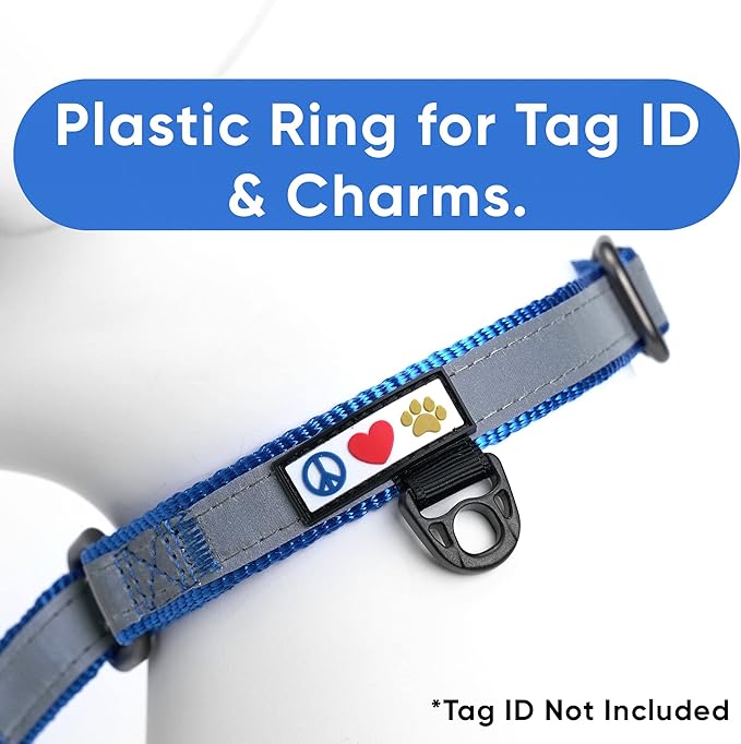 Pawtitas Customized Martingale Dog Collar Reflective Reflective Dog Collar Embroidered Personalized Name Phone Number Adjustable for Puppies Small Medium Large Size Dogs Small Blue