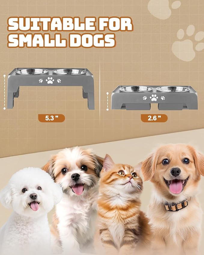 Elevated Dog Bowls, Dog Feeder with 2 Stainless Steel Dishes, 2 Heights Adjustable Raised Stand for Small Dogs, Food Dishes with Non-Slip Feet