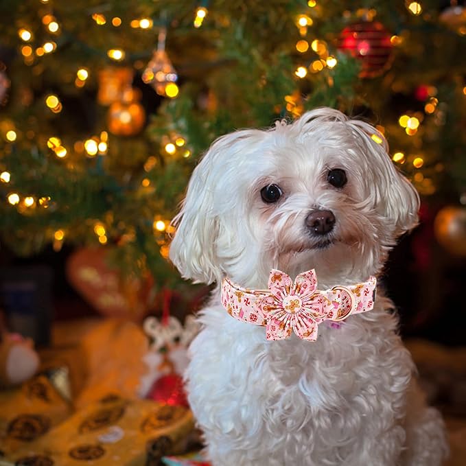 Elegant Little Tail Flower Dog Collar - Adjustable Plaid Christmas Collar for X-Small Puppy