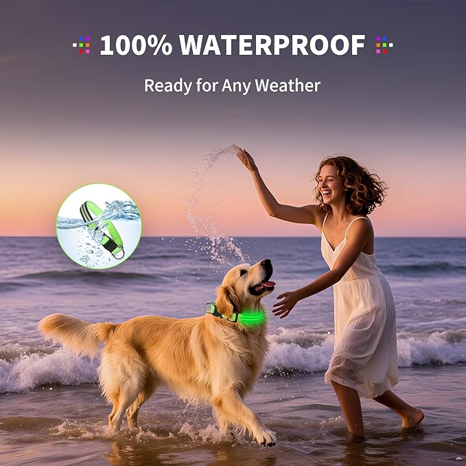 PetIsay Dog Light up Collar for Night Walking - High Visibility LED Dog Collar - Rechargeable - Waterproof - Reflective - Adjustable Lighted Glow Collars(Green, Medium)
