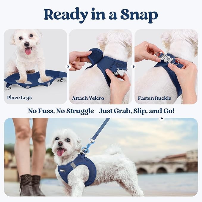 rabbitgoo Dog Harness Small Sized and Leash Set, Step in Soft Light Puppy Vest, Breathable Mesh Pet Harness, Reflective for Safe Outdoor Walking, Navy Blue XXS