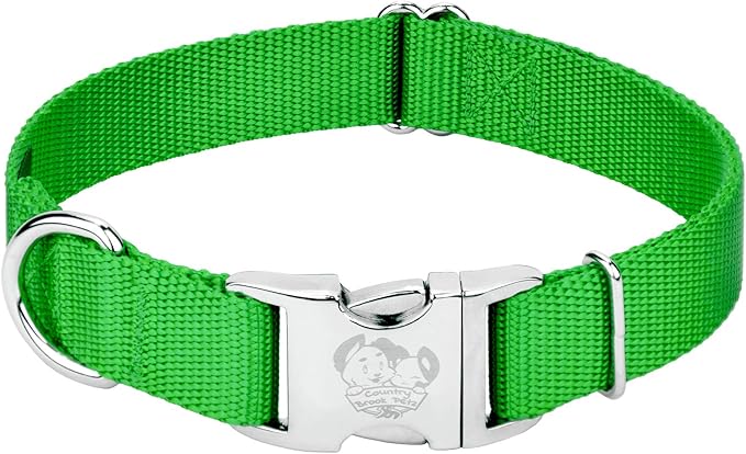 Country Brook Petz - Premium Nylon Dog Collar with Metal Buckle for Small Medium Large Breeds - 10+ Cool Colors (Extra Large, 1 Inch, Hot Lime Green)