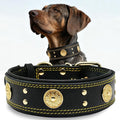 Leather Dog Collar, 2 inches Wide Heavy Duty Genuine Leather Collars, Handmade, Soft, and Luxury, Eye-catching Best Choice for Large and Medium Breed Dogs, Black-Gold 21-25 inches