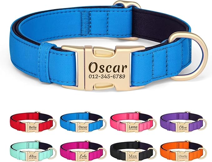 PET ARTIST Colorful Personalized Dog Collars, Custom Dog Collar with Silent Engraved ID Tag, Lightweight Breathable Nylon & Soft Padded, Matching Leash & Poop Bag for Small Dogs,Blue,Fit 10-15"