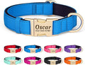 PET ARTIST Colorful Personalized Dog Collars, Custom Dog Collar with Silent Engraved ID Tag, Lightweight Breathable Nylon & Soft Padded, Matching Leash & Poop Bag for Large Dogs,Blue,L Fit 15-23"
