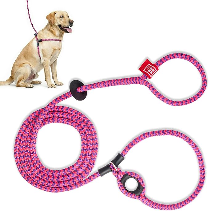 Harness Lead No Pull Dog Harness and Leash Set, Anti Pull Dog Harness, One-Piece Cushioned Rope Safely Prevents Escaping and Pulling *New Insert is Removable (Medium/Large, Pink/Purple)