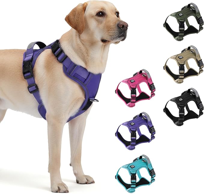 Heavy Duty Tactical Dog Harness for Small Dogs, No Pull Dog Harness with Handle & Front Clip, Reflective Soft Padded, Hook and Loop Panel, Dog Vest for Walking, Service Training, Purple