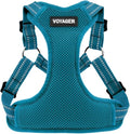 Best Pet Supplies Voyager Adjustable Step-in Flex Breathable Mesh Dog Harness for Small Medium Large Dogs (Turquoise), L