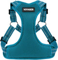Best Pet Supplies Voyager Adjustable Step-in Flex Breathable Mesh Dog Harness for Small Medium Large Dogs (Turquoise), XL