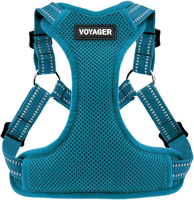 Best Pet Supplies Voyager Adjustable Step-in Flex Breathable Mesh Dog Harness for Small Medium Large Dogs (Turquoise), XL