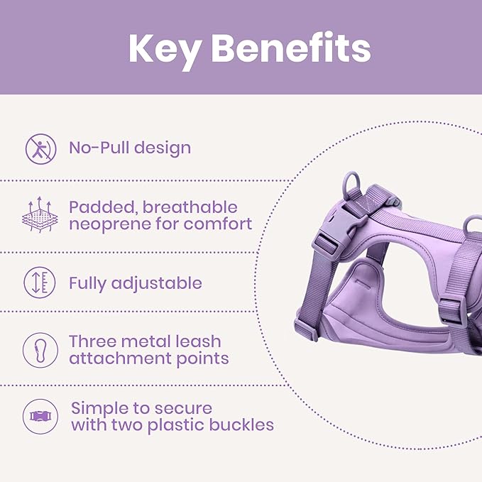 No Pull Dog Harness and Leash Set 3-in-1, Adjustable Anti Pull Dog Puppy Harness with Hands-Free Matching Leash and Poop Bag Holder, Easy Walk Dog Harness Medium, small Sized Dog (Lilac)