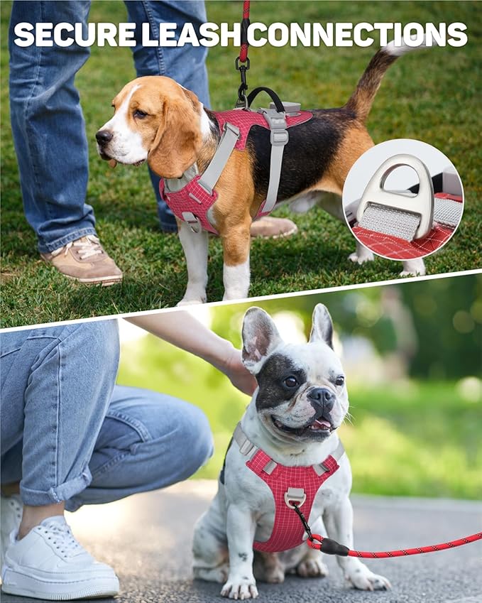 TagME No Pull Dog Harness with 2 Leash Clips,Lightweight & Visible for All-Day Walking,No Choke Pet Vest Includes AirTag Holder for Medium Dogs,Melon Red