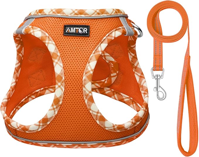 AMTOR Small Dog Harness with Leash Set, No Escape Easy Walk Puppy Harnesses for Training Walking, Step-in Reflective Soft Dogs Vest for XS S Medium Extra-Small Large Sized Dog(M Size,Orange/White)