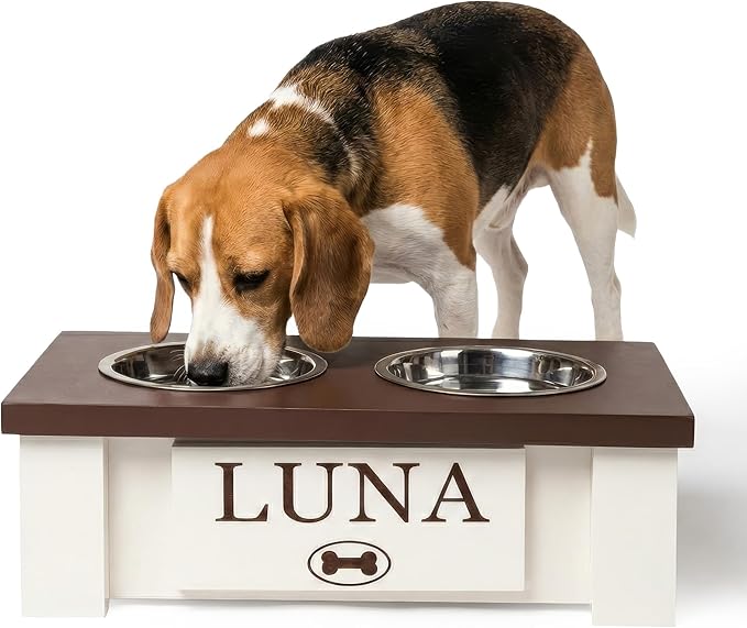 GTW Personalized Elevated Dog Bowl Stand for Large, Medium, Small, X-Small Dogs - Stainless Steel Food and Water Bowls - Raised Dog Dish with Internal Storage (X-Small, Dark Walnut)
