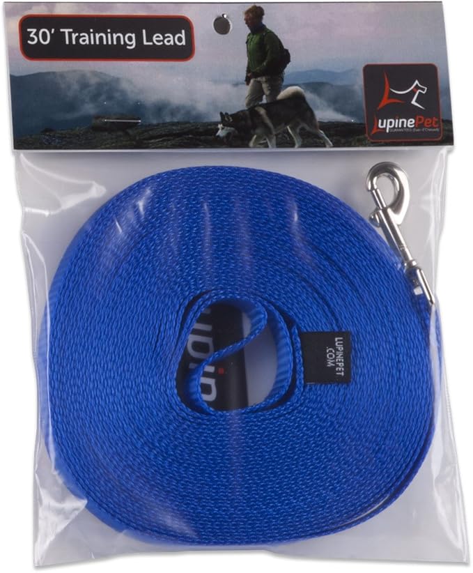 LupinePet Basics 1/2" Blue 30-foot Extra-Long Training Lead/Leash for Small Pets