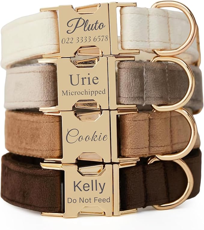 Personalized Velvet Dog Collar with Name & Phone Custom Dog Collar Personalized Name and Phone Number, Custom Collar Leash for Dogs, Engraved Metal Buckle Collar (Style - A)