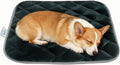 furrybaby Dog Crate Pad for Dog Cages Flat Crate Mat Kennel Pad with Anti-Slip Bottom Machine Washable for Pet Bed Sleeping (S 24x18'', Grey Mat)