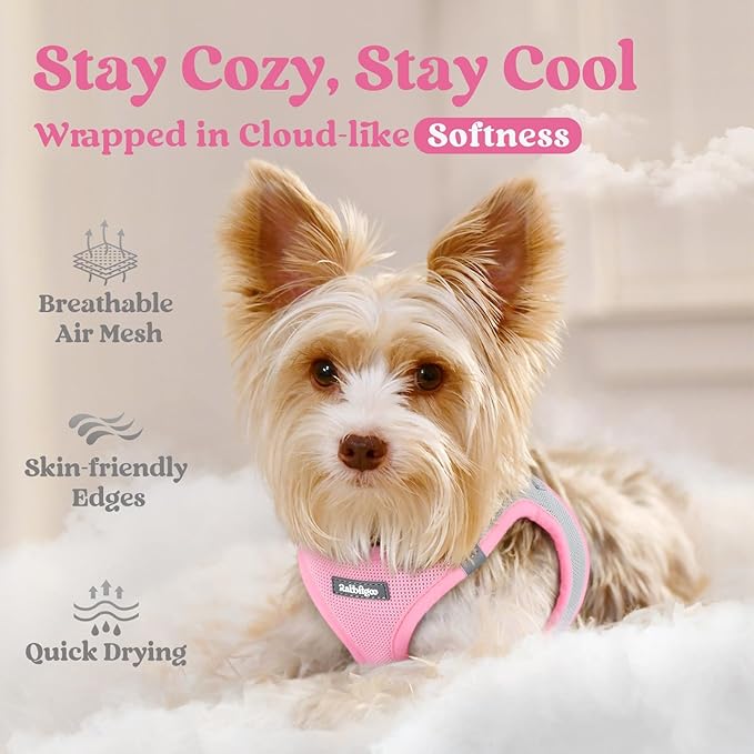 rabbitgoo Small Dog Harness, Step-in Soft Mesh Puppy Vest with Safety Buckle, Breathable Reflective Pet Harness for Small Medium Dogs, Pink & Gray L