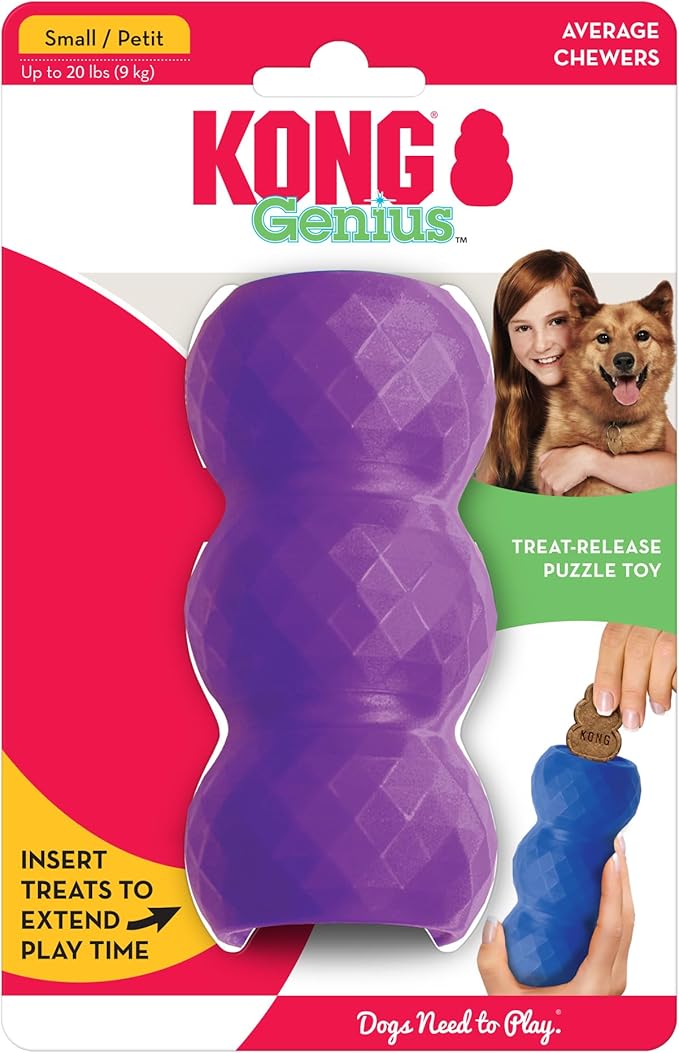 KONG - Genius Mike - Interactive Treat Dispensing Dog Puzzle Toy (Assorted Colors) (Small (2 Pack))