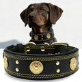 Leather Dog Collar, 2 inches Wide Heavy Duty Genuine Leather Collars, Handmade, Soft, and Luxury, Eye-catching Best Choice for Large and Medium Breed Dogs, Black-Gold 18.5-22.5 in