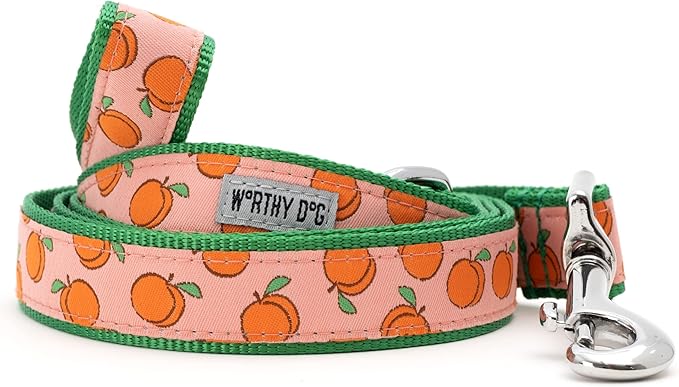THE WORTHY DOG 5 FT Nylon Dog Leash for Small to Medium Dogs, Metal Quick Clip, Peachy Keen Pattern, Peach, Small