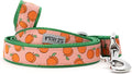 THE WORTHY DOG 5 FT Nylon Dog Leash for Small to Medium Dogs, Metal Quick Clip, Peachy Keen Pattern, Peach, Small
