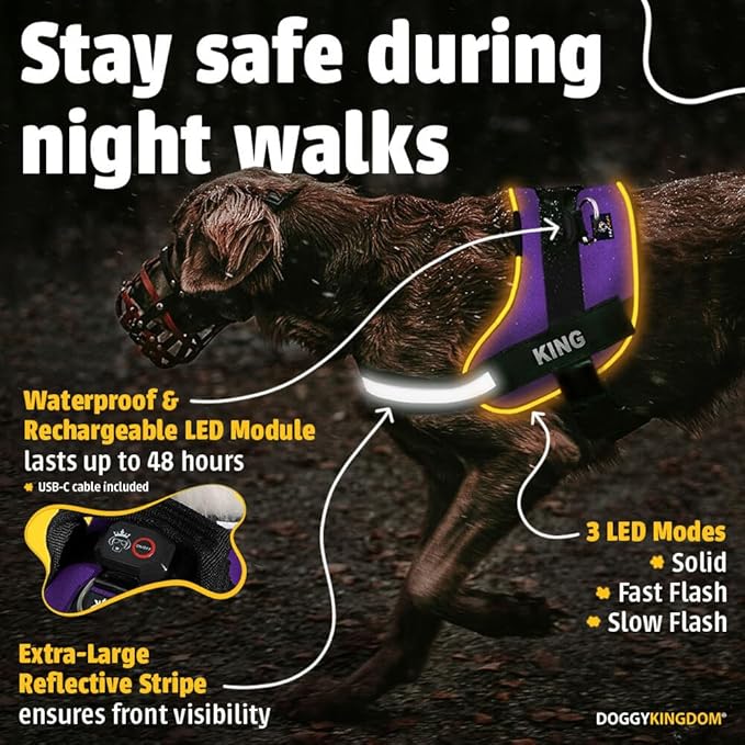 Personalized No Pull 360° LED Dog Harness with Custom Name Patches, USB Rechargeable, Adjustable, Reflective for Night Walks, Rainproof Module with 3 Modes Lasts up to 24h, Purple, L