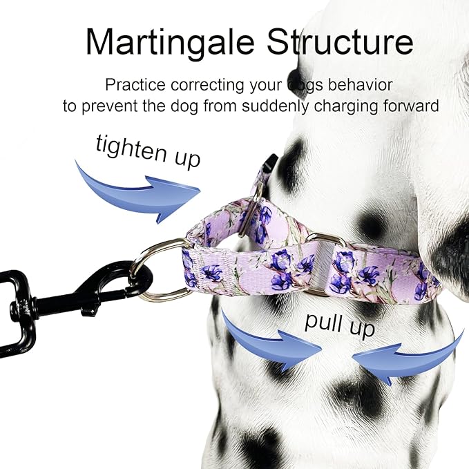 Martingale Collar for Dogs Floral Dog Collars for Small Medium Large Dogs with Buckle Adjustable Soft Nylon Dog Collar (Purple Lily, Large)