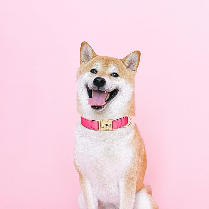 PET ARTIST Personalized Dog Collars, Colorful Pink Custom Dog Collar with Silent Engraved ID Tag, Lightweight Breathable Nylon & Soft Padded, Matching Leash & Poop Bag for Large Dogs,L Fit 15-23"