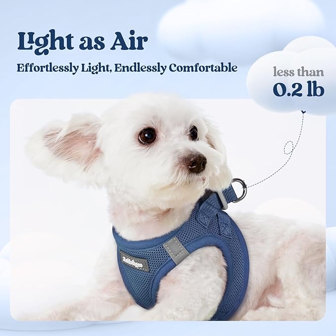 rabbitgoo Dog Harness Small Sized and Leash Set, Step in Soft Light Puppy Vest, Breathable Mesh Pet Harness, Reflective for Outdoor Safe Walking, Navy Blue XL