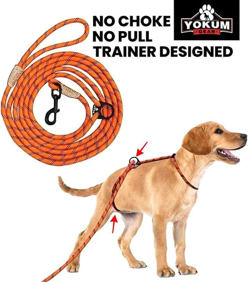 12ft No Pull No Choke Leash Long Rope Dog Leash, Anti Pulling, Dog Leads for Walking, Double Hook & Escape Proof for All Breeds, Reflective Orange