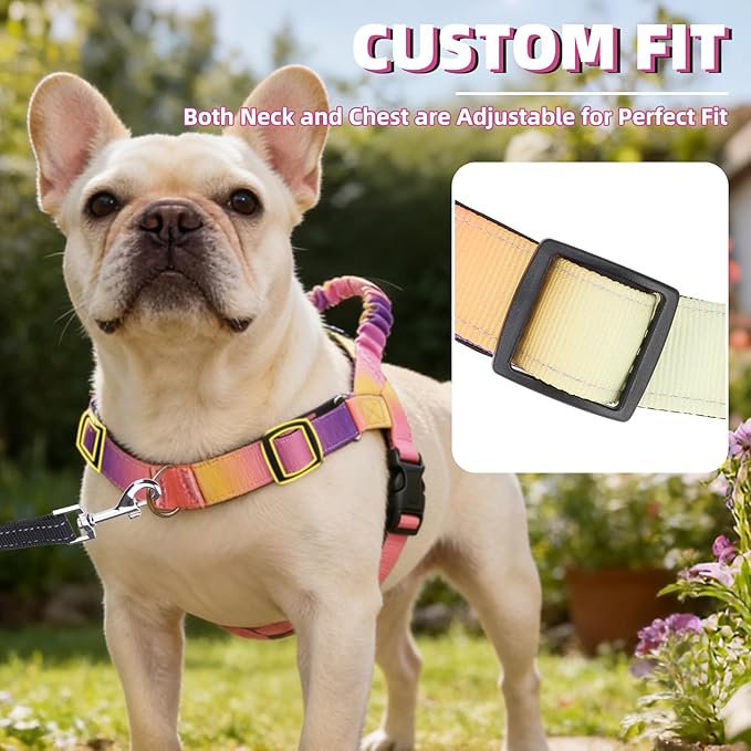 PUPTECK No Pull Dog Harness Small Sized Dog, Adjustable Reflective Pet Vest Harness with Bungee Handle, Escape Proof No Choke Harness for Small Dogs Walking Training, Pink & Purple M