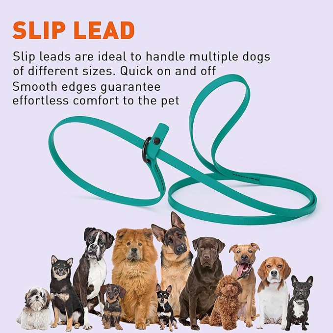 Dogline Biothane Slip Dog Leash - for Small, Medium and Large Dogs - Odor Free Slip Lead, Heavy Duty and Durable Material Kennel Lead - Blue Aqua - 5ft L x 3/8in W