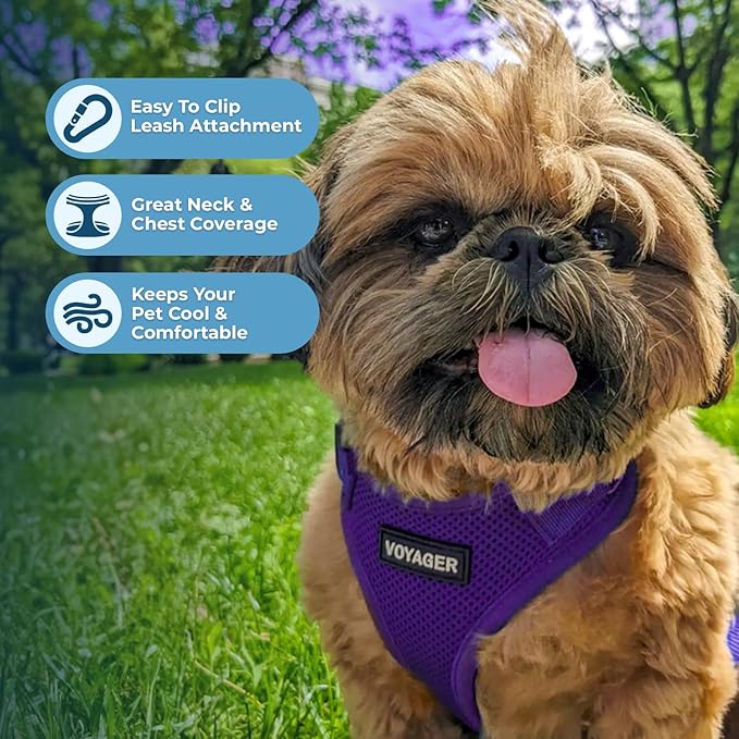 Voyager Step-in Pet Harness - All Weather Mesh, Adjustable Step in Harness for Cats and Dogs by Best Pet Supplies - Purple, L