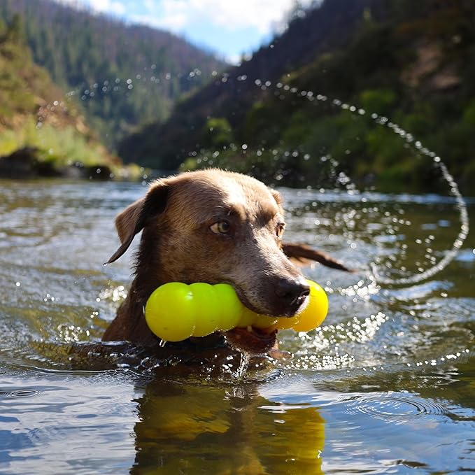 Ruff Dawg Dawg-Buster – Durable Dog Toy – Large, Tough Fetch Toy for Aggressive Chewers – High-Visibility Neon Colors – Floats, Bounces & Safe Play