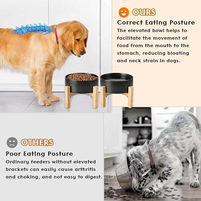 SPUNKYJUNKY Ceramic Elevated Dog Bowls 2 Pack - 5.1inch Raised Dog Bowls with Non-Slip Wooden Stand for Small Dogs Dishwasher Safe(Black,13.5OZ*2)