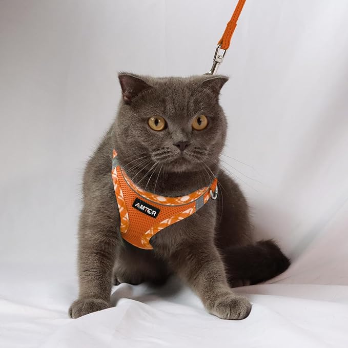 AMTOR Small Dog Harness with Leash Set, No Escape Easy Walk Puppy Harnesses for Training Walking, Step-in Reflective Soft Dogs Vest for XS S Medium Extra-Small Large Sized Dog(XXS Size,Orange/White)
