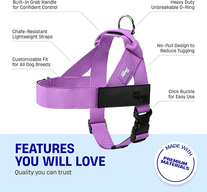 DF Co. Dog Harness | Chafe Resistant Webbing, Adjustable Neck & Chest, and Heavy Duty D-Ring | Sturdy, Comfortable, Easy to Use | Purple, Size M