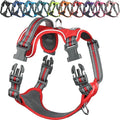 VIVAGLORY Dog Harness Easewalk No Pull Dog Harness with Handle Front Clip & Back Clip for Training Walking Lifting, No Pull Adjustable Easy On Padded Comfortable for Pet, M, Red - Patterned