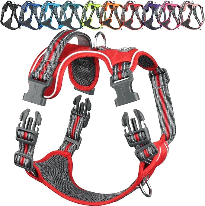 VIVAGLORY Dog Harness Easewalk No Pull Dog Harness with Handle Front Clip & Back Clip for Training Walking Lifting, No Pull Adjustable Easy On Padded Comfortable for Pet, S, Red - Patterned