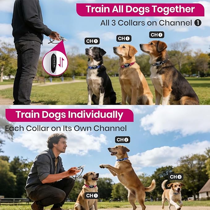 PetJoy 3-Dog Training Collars & Shock Collar for 3 Dogs, with Lockable Shock - Shock Lock Mode Switches to Tone & Vibe Only, Includes Rechargeable Remote with 4000ft Range (9 Tones)