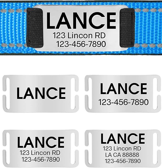 Joytale Personalized Dog Collars with Engraved Name Plate, Silent No Jingle Custom Nylon Collar with Fixed ID Tag, Reflective Soft Neoprene Padded Breathable for Puppy and XSmall Dogs, Sky Blue