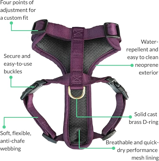 DJANGO Adventure Dog Harness - Stylish, and Durable Medium Dog Harness for Outdoor Adventures and Everyday Wear - Plum Purple Neoprene Adjustable Harness for Dogs with Reflective Piping, Brass D-Ring