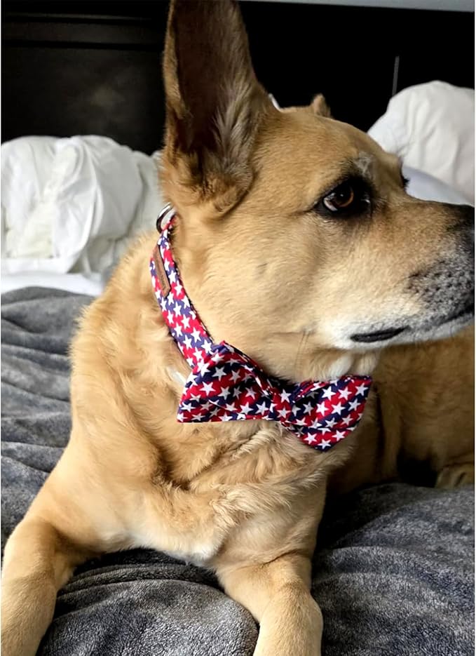 Lionheart glory American Flag Dog Collar 4 of July Independence Patriotic Dog Bow Collars Heavy Duty Adjustable Soft Collar with Bowtie for Medium Dogs Pet Gift